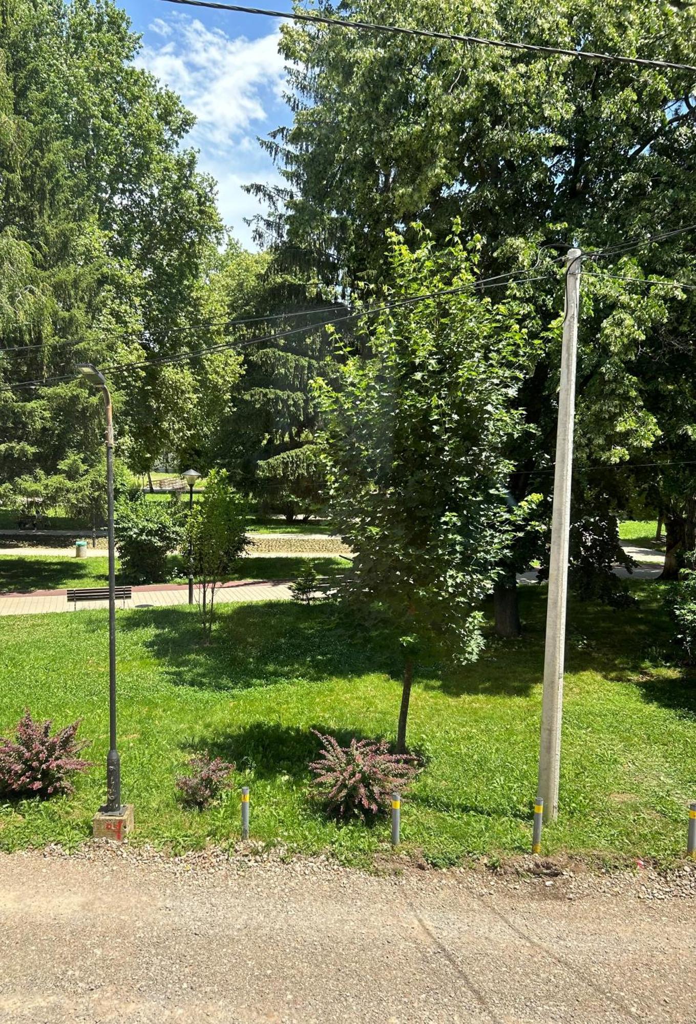 Vila Markovic-A Soko Banja Rom bilde